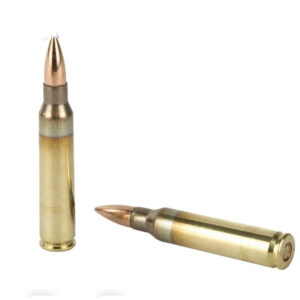 L.C. .223 Bullet