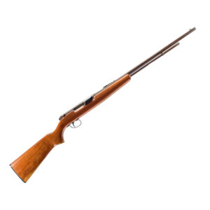 Remington .22 LR Rifle